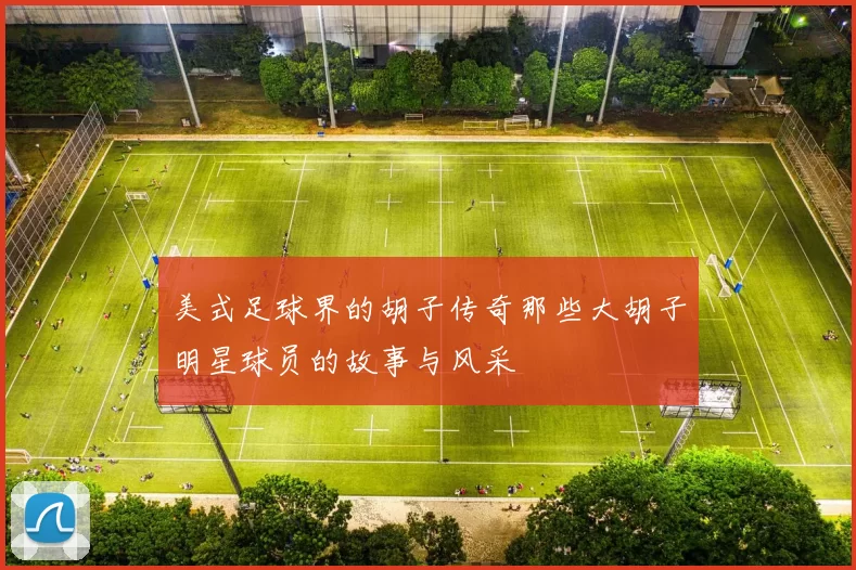 美式足球界的胡子传奇那些大胡子明星球员的故事与风采