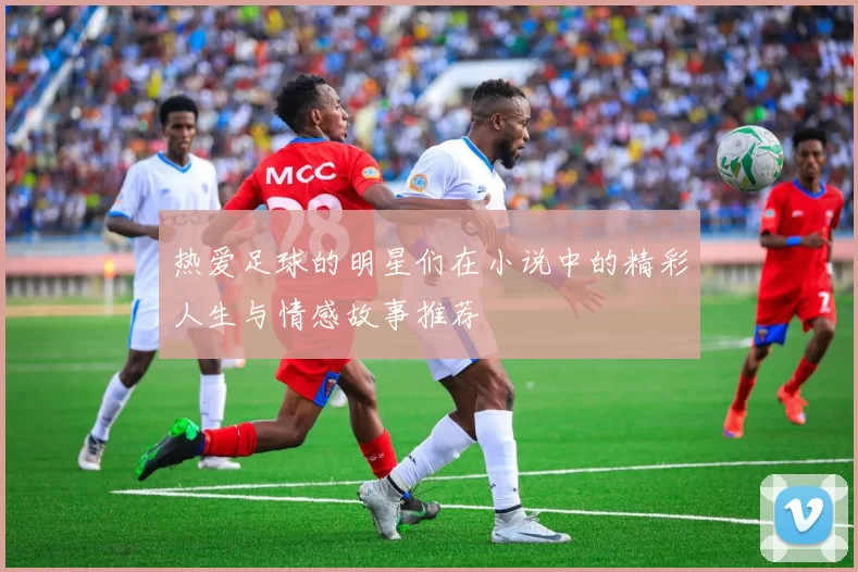 热爱足球的明星们在小说中的精彩人生与情感故事推荐