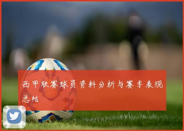 西甲联赛球员资料分析与赛季表现总结
