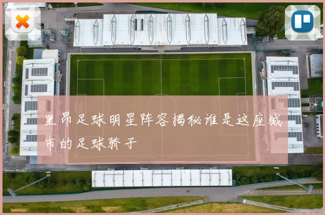 里昂足球明星阵容揭秘谁是这座城市的足球骄子