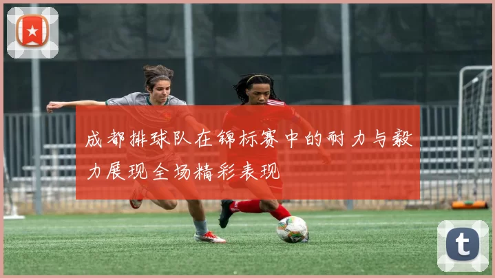成都排球队在锦标赛中的耐力与毅力展现全场精彩表现