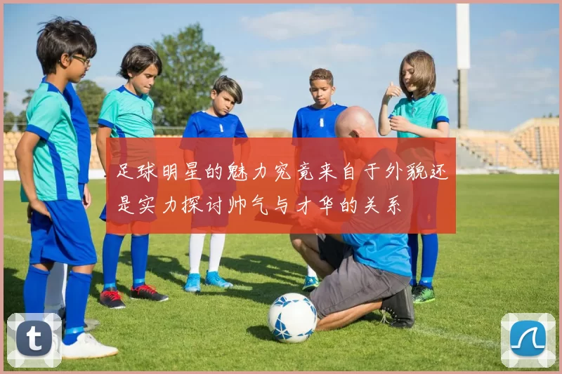 足球明星的魅力究竟来自于外貌还是实力探讨帅气与才华的关系