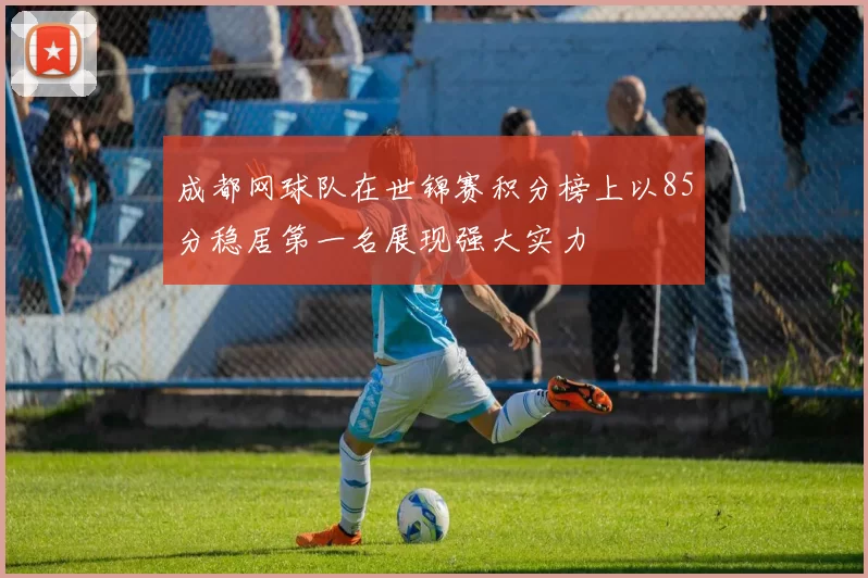 成都网球队在世锦赛积分榜上以85分稳居第一名展现强大实力