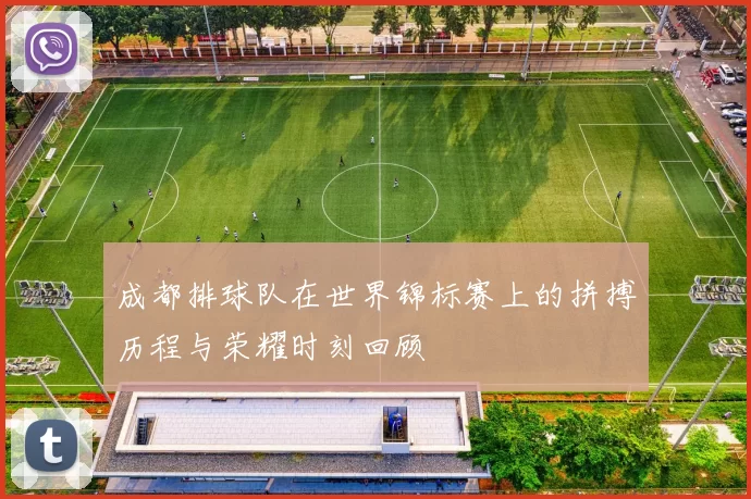 成都排球队在世界锦标赛上的拼搏历程与荣耀时刻回顾