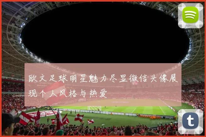 欧文足球明星魅力尽显微信头像展现个人风格与热爱