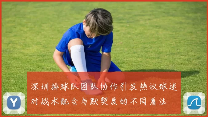 深圳排球队团队协作引发热议球迷对战术配合与默契度的不同看法