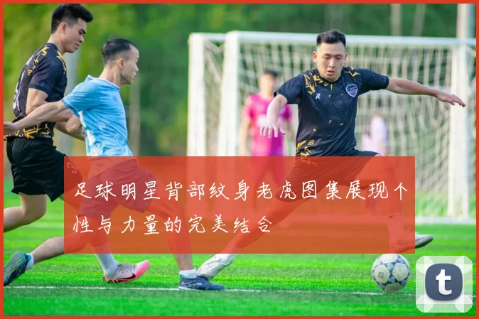 足球明星背部纹身老虎图集展现个性与力量的完美结合