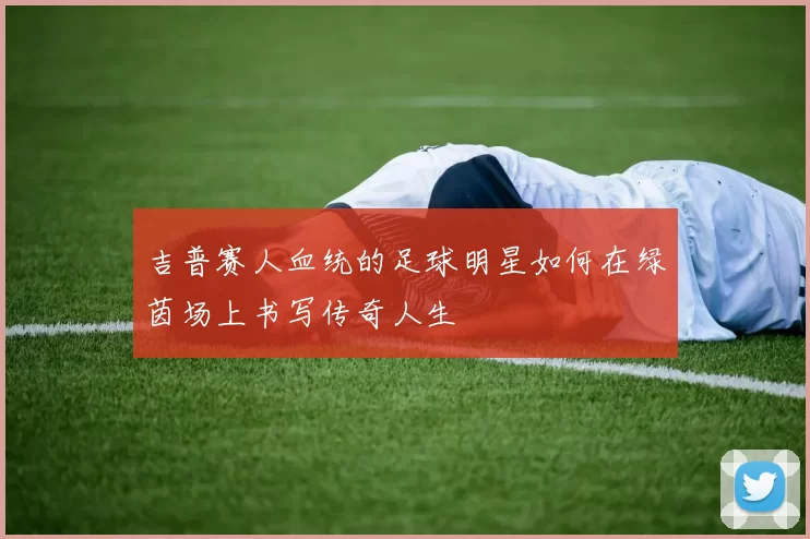 吉普赛人血统的足球明星如何在绿茵场上书写传奇人生