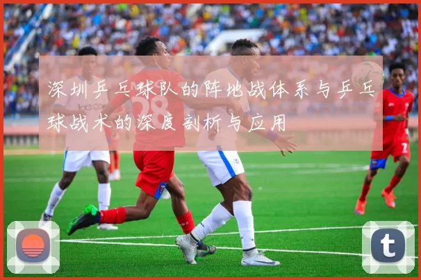深圳乒乓球队的阵地战体系与乒乓球战术的深度剖析与应用