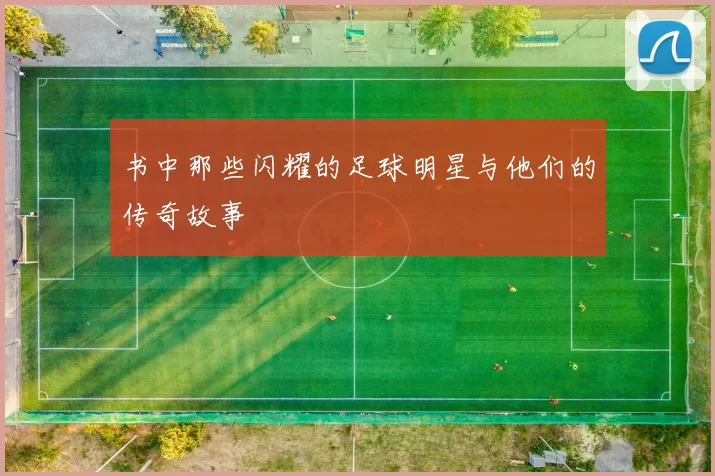 书中那些闪耀的足球明星与他们的传奇故事