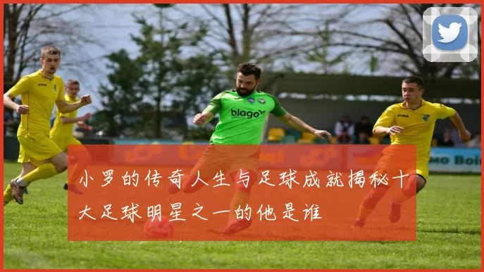 小罗的传奇人生与足球成就揭秘十大足球明星之一的他是谁