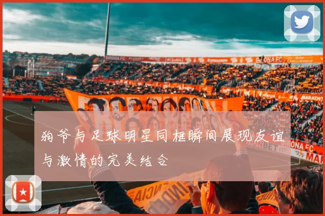 狗爷与足球明星同框瞬间展现友谊与激情的完美结合