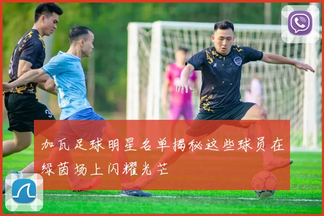 加瓦足球明星名单揭秘这些球员在绿茵场上闪耀光芒