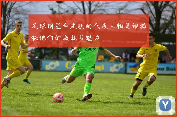 足球明星白皮肤的代表人物是谁揭秘他们的成就与魅力