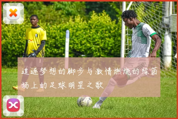 追逐梦想的脚步与激情燃烧的绿茵场上的足球明星之歌